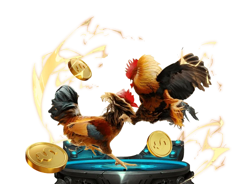 Ưu Điểm Nổi Bật bsport